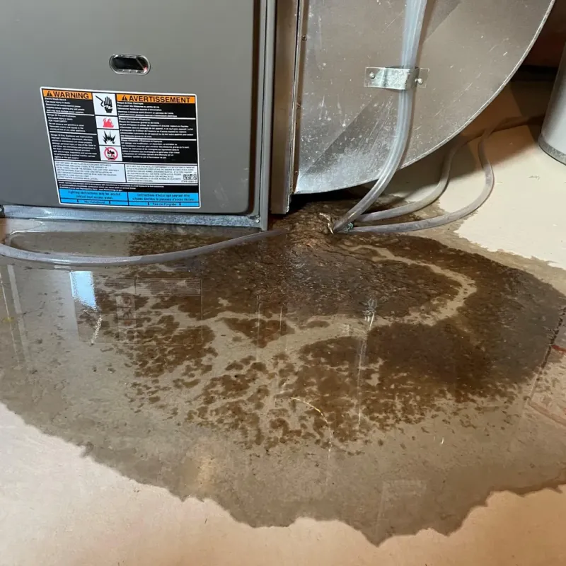 Appliance Leak Cleanup in Browntown, PA